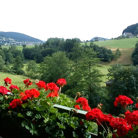 Tonbachtal *